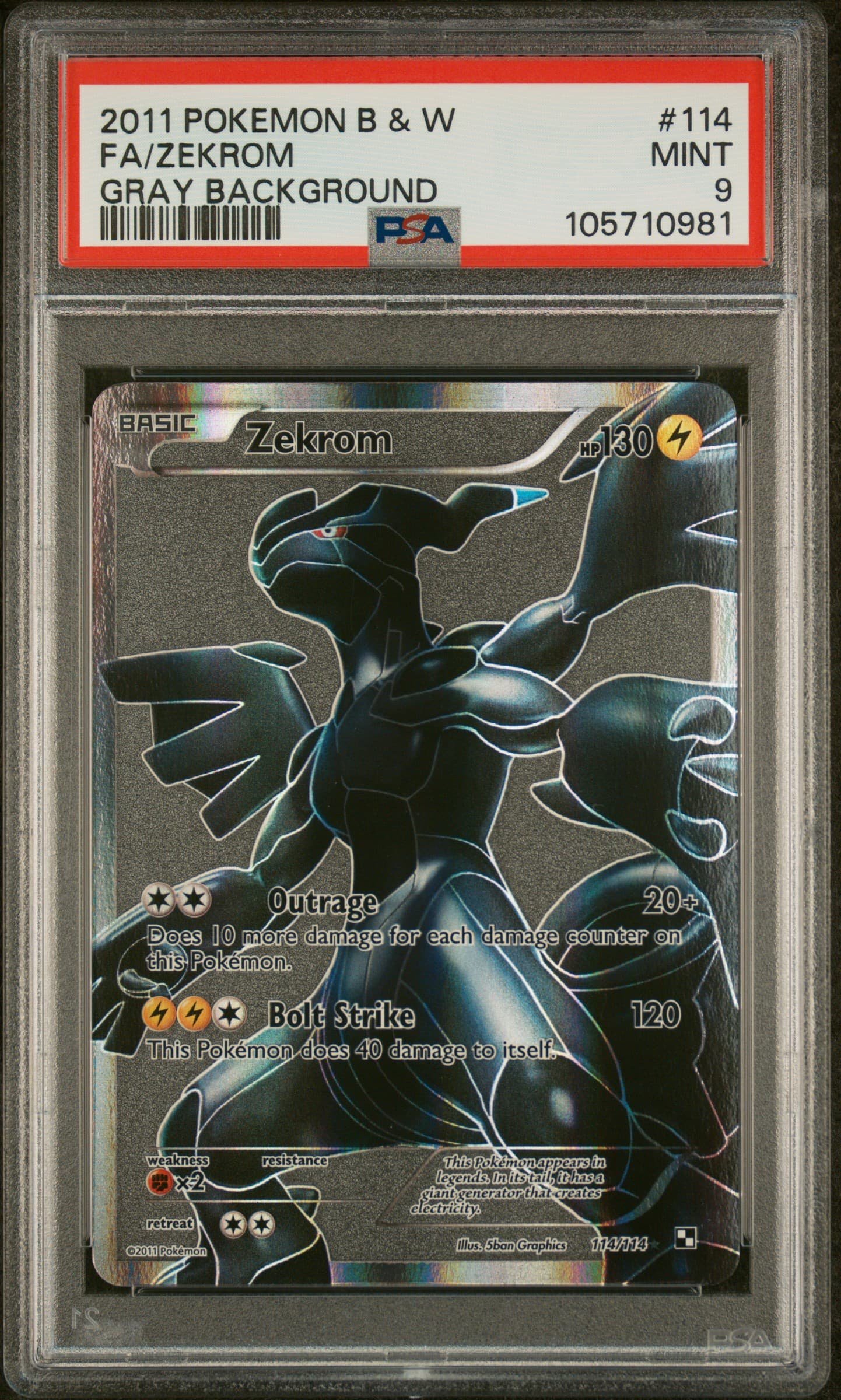 Full Art/Zekrom